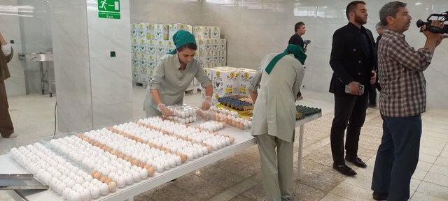 صادرات ۱.۵ تن محصولات دامی در همدان