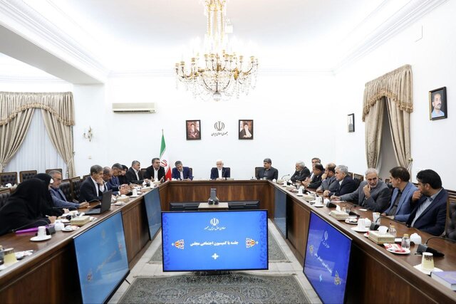 بررسی ساماندهی نیروهای شرکتی در نشست کمیسیون اجتماعی مجلس با عارف