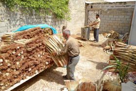 جاروبافی میراثی زنده در روستای ملاحسن خراسان شمالی