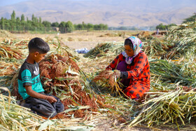 جاروبافی میراثی زنده در روستای ملاحسن خراسان شمالی