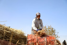 جاروبافی میراثی زنده در روستای ملاحسن خراسان شمالی