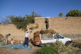 جاروبافی میراثی زنده در روستای ملاحسن خراسان شمالی