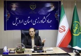 مدیریت هوشمند کشاورزی ضرورتی برای دستیابی به امنیت غذایی است