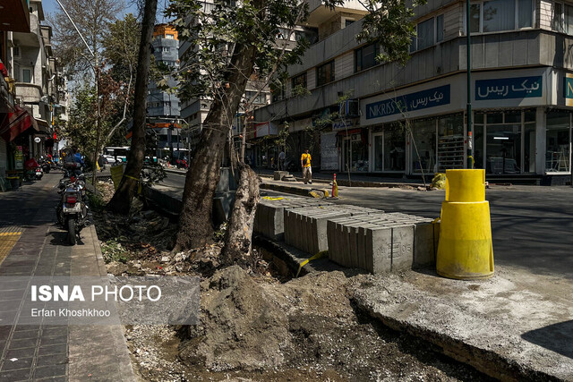 بازنشر مرثیه بهرام بیضایی به انگیزه قطع درختان خیابان فلسطین
