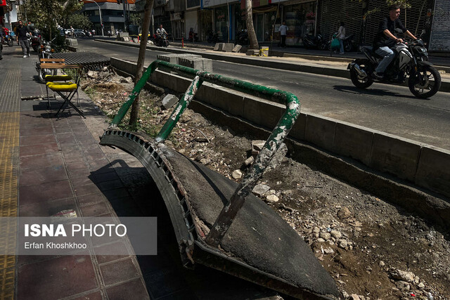 بازنشر مرثیه بهرام بیضایی به انگیزه قطع درختان خیابان فلسطین