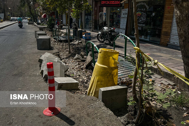 بازنشر مرثیه بهرام بیضایی به انگیزه قطع درختان خیابان فلسطین