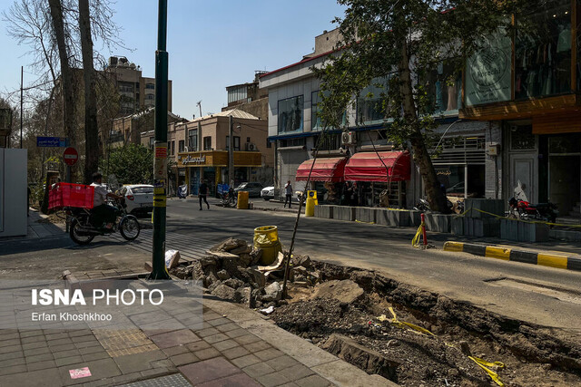 بازنشر مرثیه بهرام بیضایی به انگیزه قطع درختان خیابان فلسطین