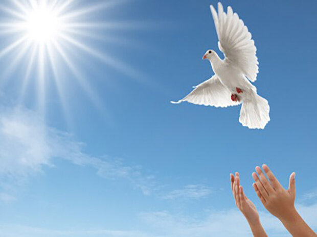 آزادی ۳۰ محکوم مالی در گلستان آزادی ۳۰ محکوم مالی در گلستان