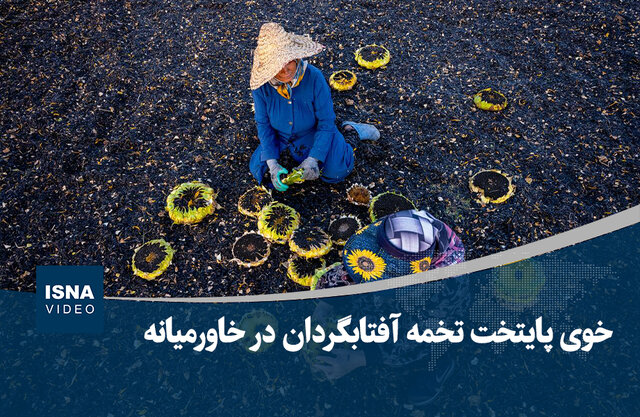 ویدیو/ خوی، پایتخت تخمه آفتابگردان در خاورمیانه ویدیو/ خوی، پایتخت تخمه آفتابگردان در خاورمیانه
