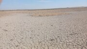 ‌کارگروه ملی برای احیای تالاب بندعلیخان ورامین تشکیل می‌شود/ تهدید ریزگردها برای چهار استان
