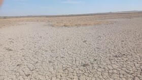 ‌کارگروه ملی برای احیای تالاب بندعلیخان ورامین تشکیل می‌شود/ تهدید ریزگردها برای چهار استان