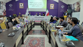 بیمه ورزشی باید سپر ایمنی ورزشکاران باشد