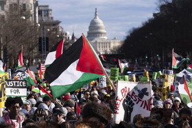 شروط جدید صدور گرین کارت آمریکا؛ حمایت از فلسطین و انتقاد از اسرائیل خط قرمز