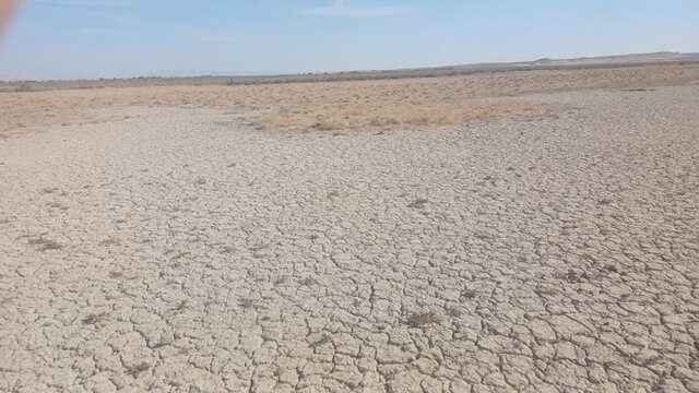 ‌کارگروه ملی برای احیای تالاب بندعلیخان ورامین تشکیل می‌شود/ تهدید ریزگردها برای چهار استان