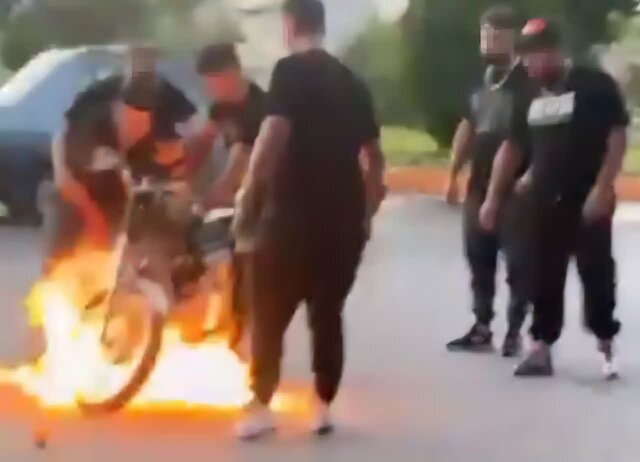 بازداشت یک اخلالگر نظم عمومی در اردبیل