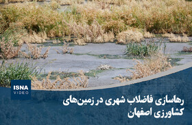 ویدیو/ رهاسازی فاضلاب شهری در زمین‌های کشاورزی اصفهان
