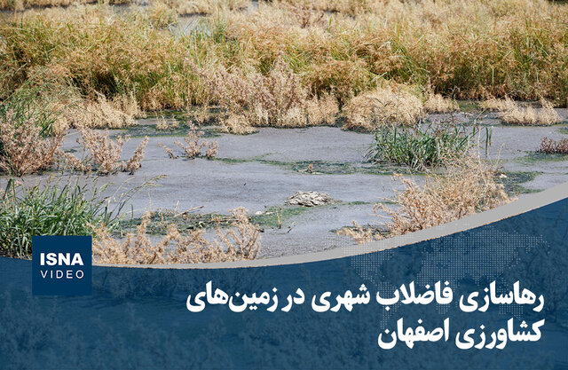 ویدیو/ رهاسازی فاضلاب شهری در زمینهای کشاورزی اصفهان ویدیو/ رهاسازی فاضلاب شهری در زمینهای کشاورزی اصفهان