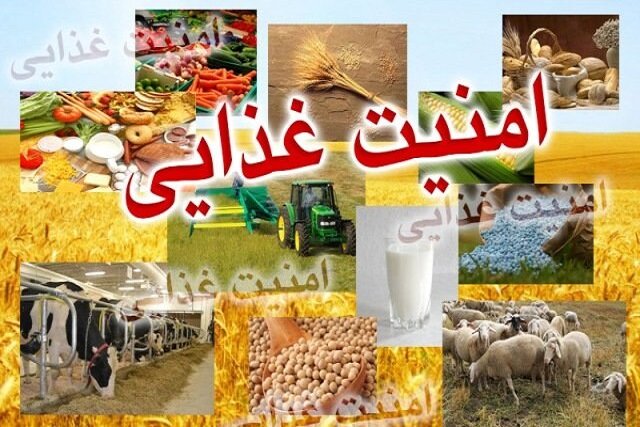 ایران می‌تواند به مرکز امنیت غذایی و فناوری منطقه تبدیل شود