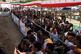 برگزاری چهارمین جشنواره ملی شوسواره ارسباران جام شهدای اقتدار در اهر
