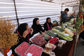 برگزاری چهارمین جشنواره ملی شوسواره ارسباران جام شهدای اقتدار در اهر