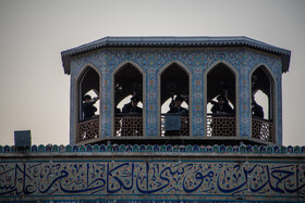 جشن بزرگ میلاد پیامبر(ص) - شیراز