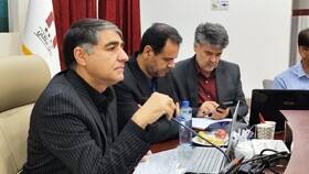توسعه نخیلات نیازمند دانش‌محوری است