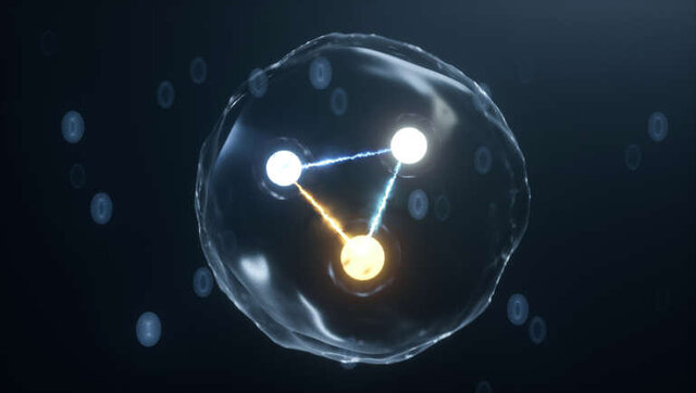 با دنیای کوچکترینهای جهان آشنا شوید + عکس