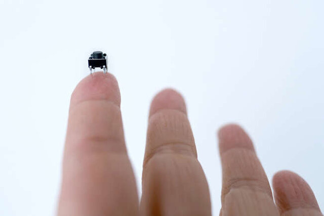 با دنیای کوچکترینهای جهان آشنا شوید + عکس