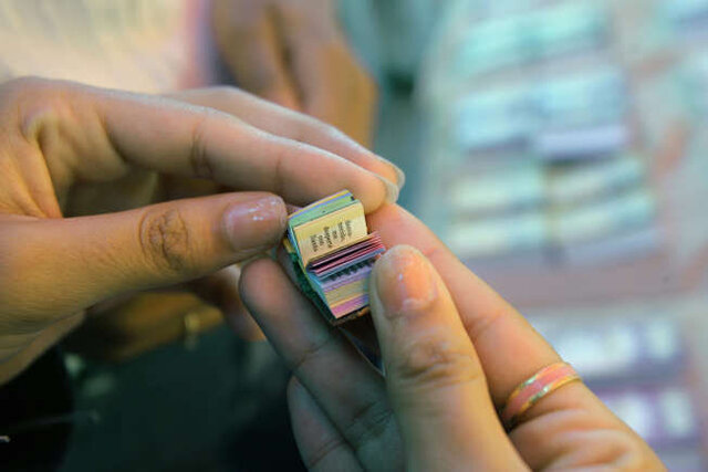 با دنیای کوچکترینهای جهان آشنا شوید + عکس