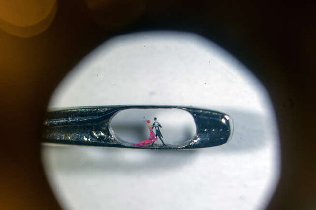 با دنیای کوچکترینهای جهان آشنا شوید + عکس