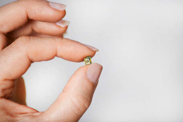 با دنیای کوچکترینهای جهان آشنا شوید + عکس