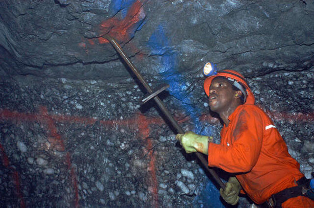 با دنیای کوچکترینهای جهان آشنا شوید + عکس