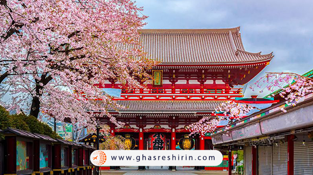 افزایش تقاضای تورهای آسیایی قصر شیرین در مقایسه با تورهای اروپایی