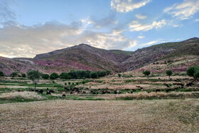ایران زیبا؛ منطقه ییلاقی دشت سفید روستای جاشم لوبار - شهمیرزاد
