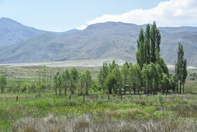 ایران زیبا؛ منطقه ییلاقی دشت سفید روستای جاشم لوبار - شهمیرزاد
