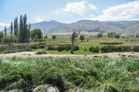 ایران زیبا؛ منطقه ییلاقی دشت سفید روستای جاشم لوبار - شهمیرزاد