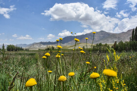 ایران زیبا؛ منطقه ییلاقی دشت سفید روستای جاشم لوبار - شهمیرزاد