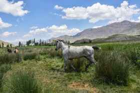 ایران زیبا؛ منطقه ییلاقی دشت سفید روستای جاشم لوبار - شهمیرزاد