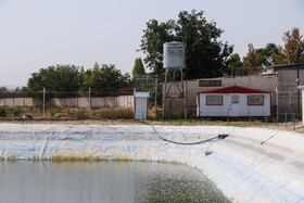 انقلاب بهره‌وری در شیلات تهران؛ تولید ۵۰ تن ماهی با نیم تا یک لیتر آب