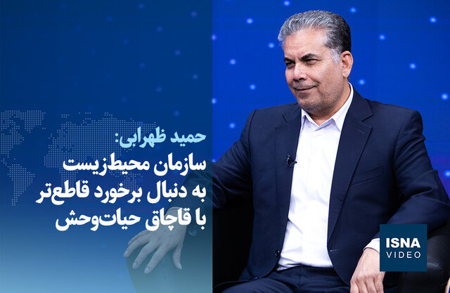 ویدیو/ برخورد قاطع‌ با قاچاق حیات‌وحش در دستور کار سازمان محیط‌زیست