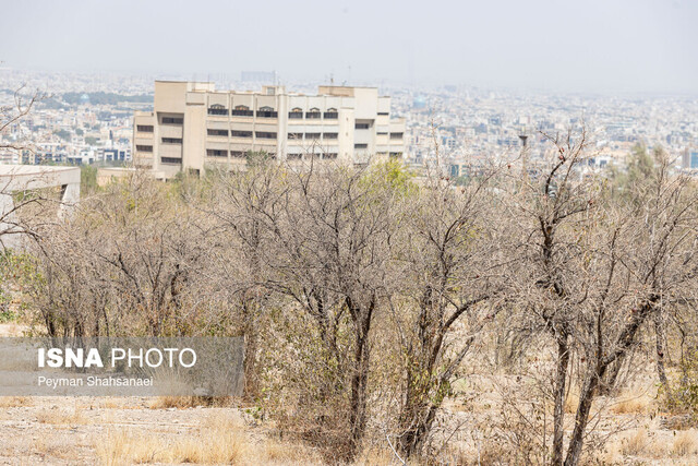 مرگ تدریجی فضای سبز دانشگاه اصفهان/ آیا شهرداری مقصر است؟ + فیلم مرگ تدریجی فضای سبز دانشگاه اصفهان/ آیا شهرداری مقصر است؟ + فیلم