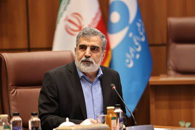 کمالوندی: به‌رغم سنگ‌اندازی آمریکا، برای تصویب قطعنامه پیشنهادی ایران تلاش می‌کنیم