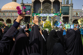 استقبال پرشور از کاروان نمادین حضرت فاطمه معصومه(س) در قم