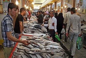 شیراز صاحب چند بازارچه تخصصی ماهی‌فروشان می‌شود/ دنبال حفظ حقوق اصناف دروازه کازرون هستیم