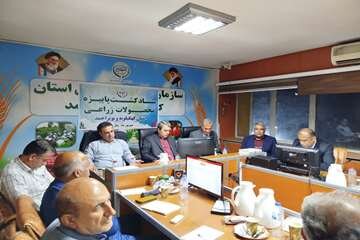 آمادگی کهگیلویه و بویراحمد برای کشت پاییزه ۱۴۳ هزار هکتار اراضی گشاورزی