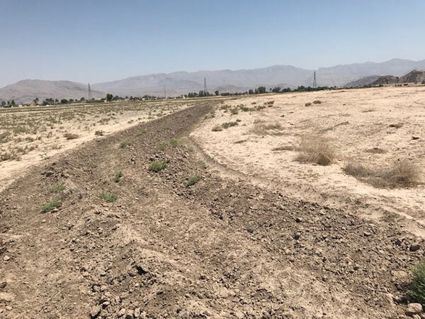 بیتوجهی به یک دستبرد تاریخی!