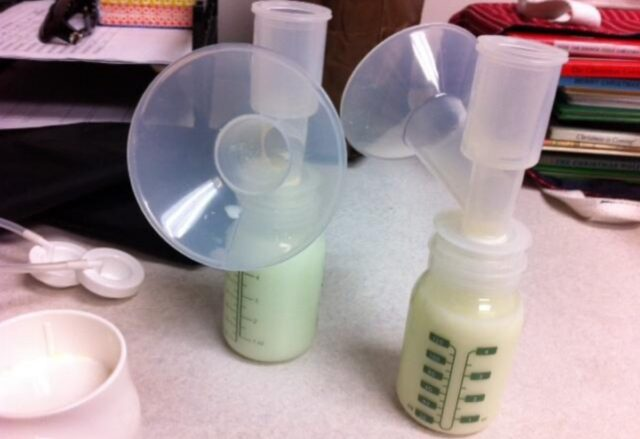 برندگان «نوبل مضحک» ۲۰۲۵ اعلام شدند