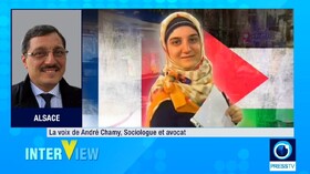 بازداشت مهدیه اسفندیاری؛ نمونه فشار علیه حامیان فلسطین