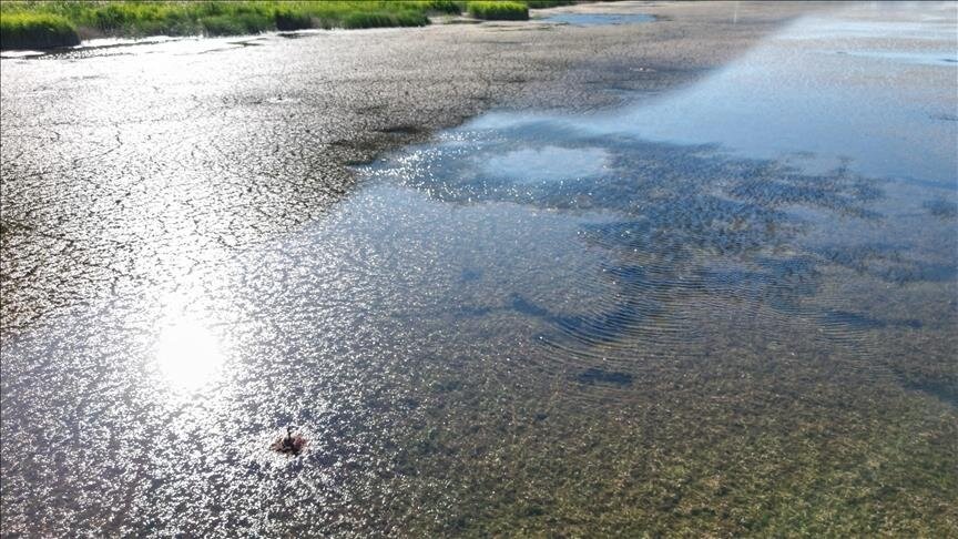 یک استادیار رشته زمین‌شناسی: بازیابی سریع دشت‌های بحرانی بدون تغییرات ساختاری در مدیریت آب ممکن نیست