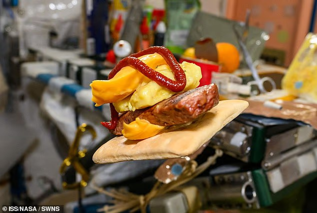 شوخی کاربران فضای مجازی با سوشی فضانوردان